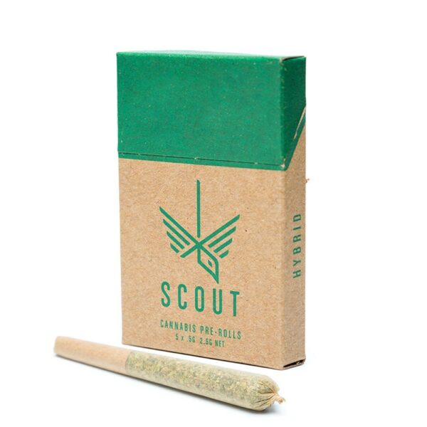 Hybrid Pre-rolls by Scout