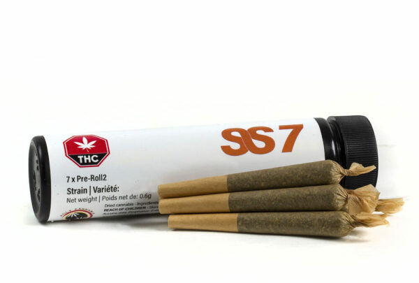 SS7 Pre-Rolls 7 Pack - Tropicana Sativa