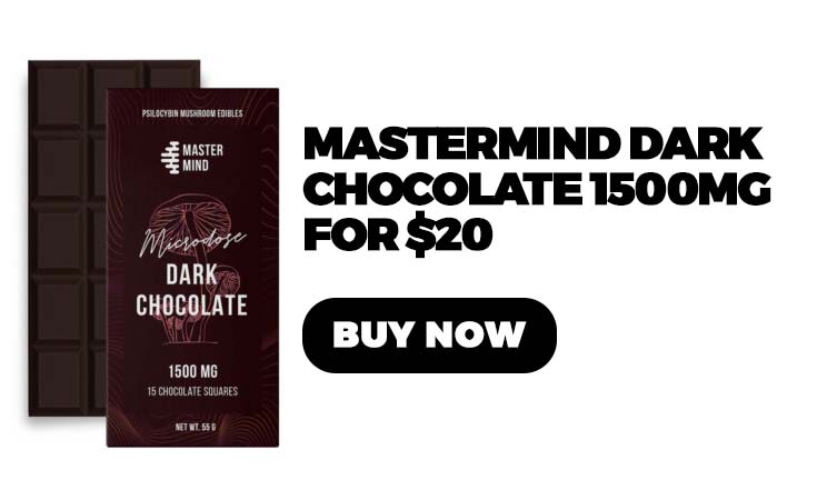 Mastermind Dark Chocolate 1500mg - $20