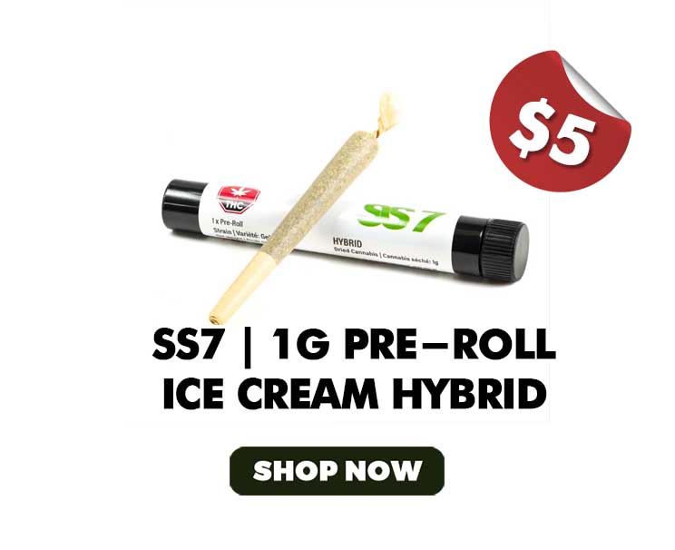 SS7 | 1g Pre-Roll | Ice Cream Hybrid - $5