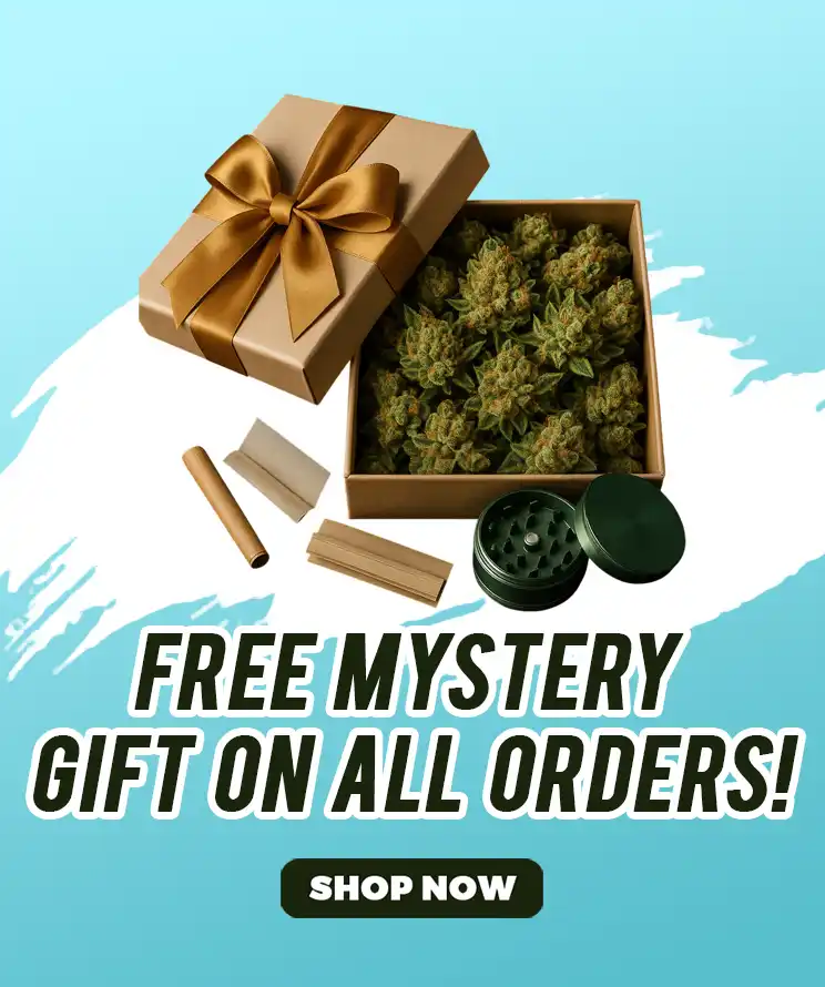 FREE MYSTERY GIFT ON ALL ORDERS!