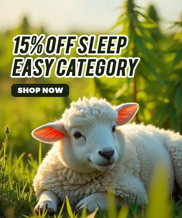15% OFF SLEEP EASY CATEGORY