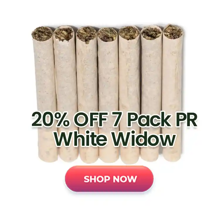 7 Pack PR MK Ultra - 20% Off